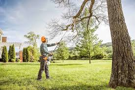 Professional Tree Removal Services in Gosnell, AR