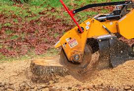 Best Aeration Services  in Gosnell, AR